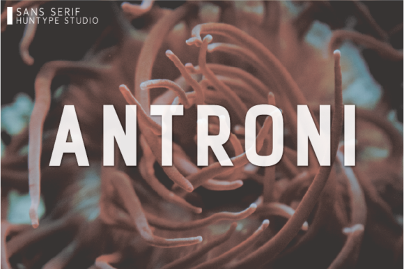 Antroni: A Bold Sans Serif for Campaigns That Stand Out