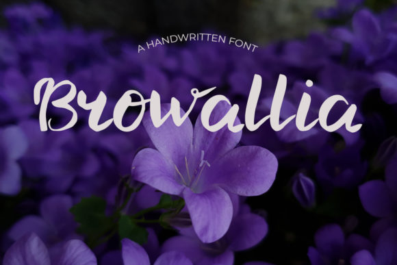 Browallia: A Script Font for Digital Design
