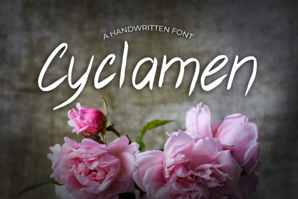Cyclamen: The Font That Boosted My Bakery’s Brand