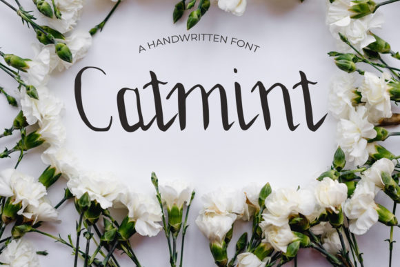 Discovering Catmint: A Script Font That Elevates Brand Design