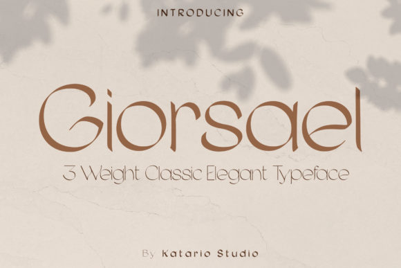 Giorsael: A Sans Serif Font for Modern Web Design