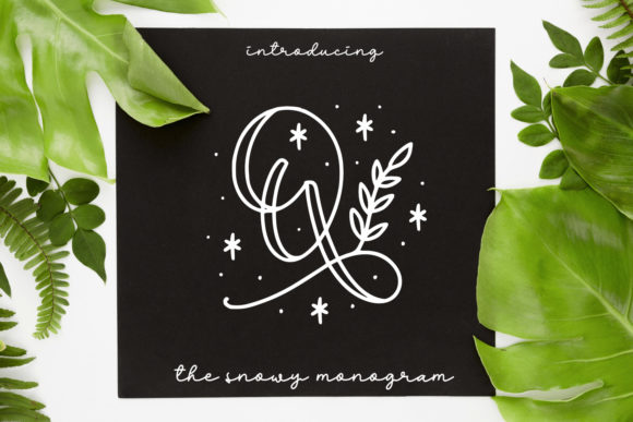 Quinn Monogram: The Font That Elevates Your Campaigns