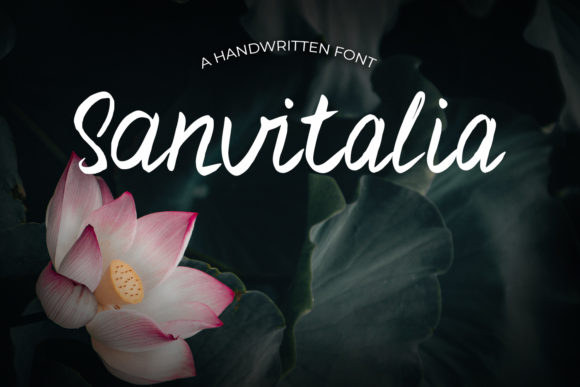 Sanvitalia: A Font That Elevates Your Brand
