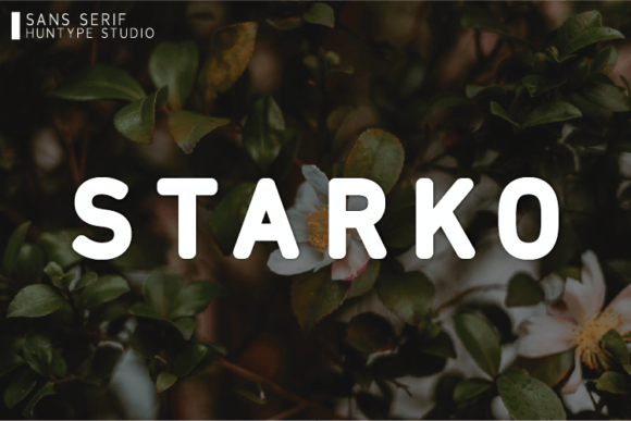 Starko: The Font That Elevates Your Brand